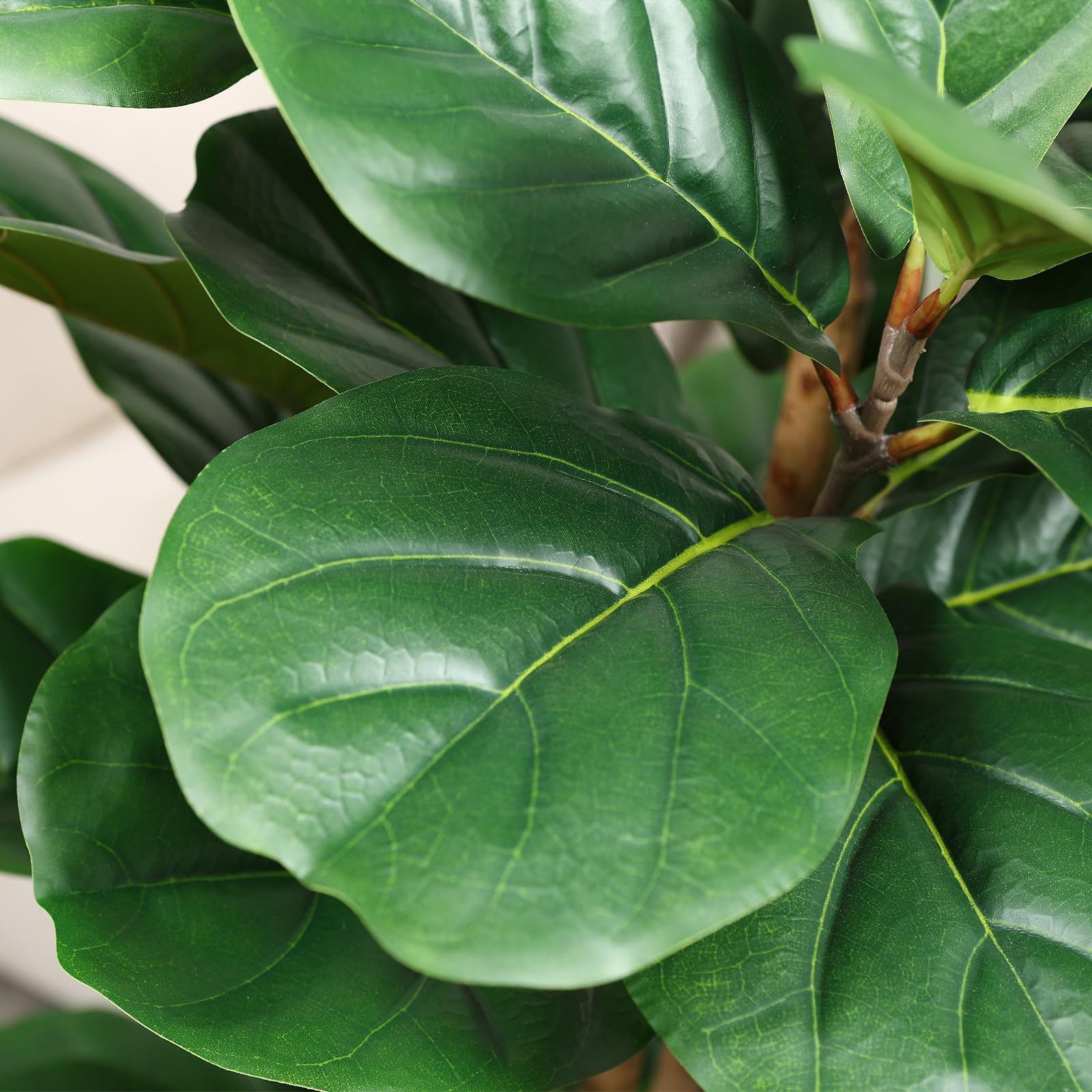 Sztuczne drzewo figowe z biały – Ficus Lyrata Tree recenzja i cena